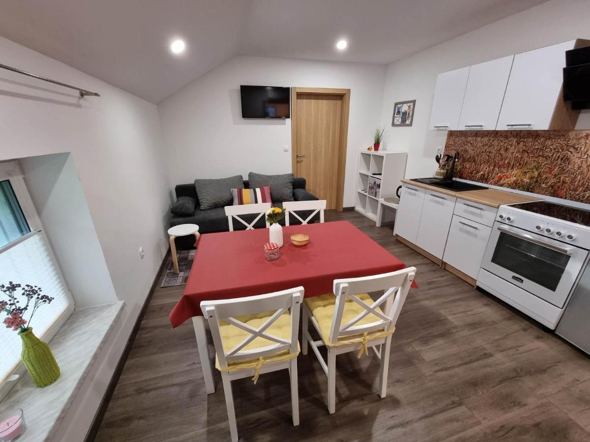 Apartmaji Ribic Ljubno Esterno foto