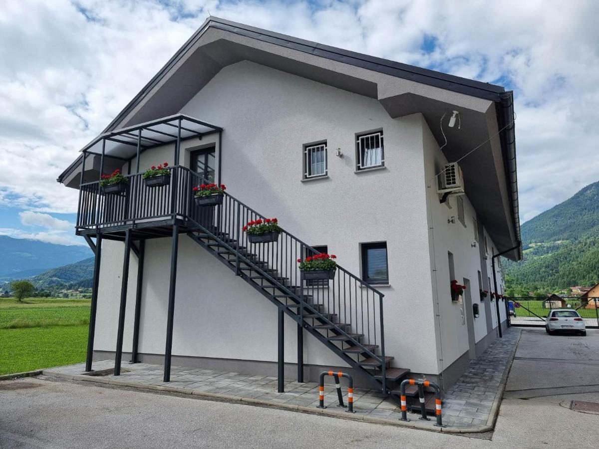 Apartmaji Ribic Ljubno Esterno foto
