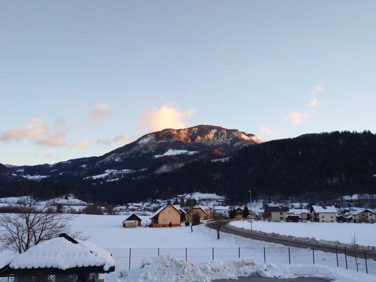 Apartmaji Ribic Ljubno Esterno foto