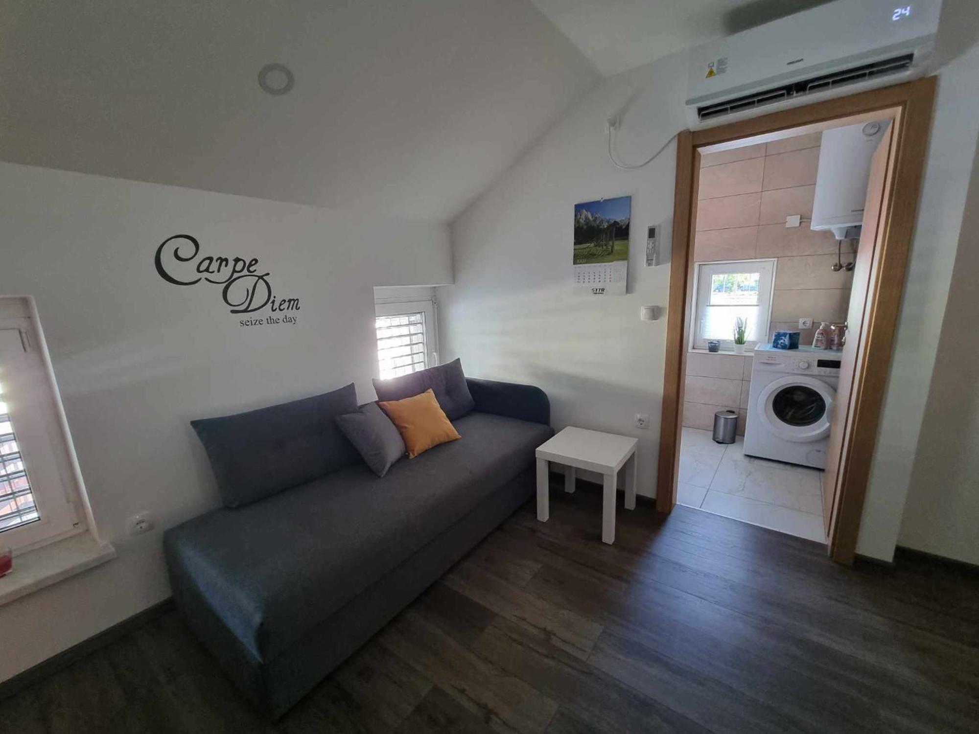 Apartmaji Ribic Ljubno Esterno foto