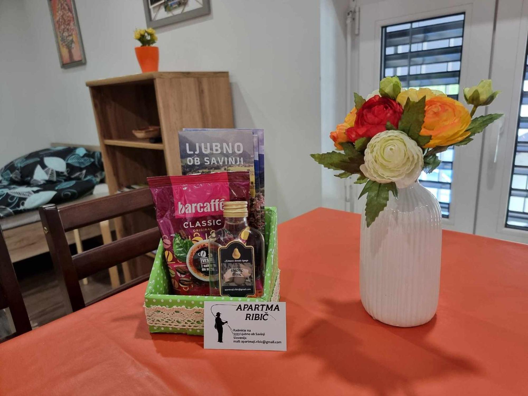 Apartmaji Ribic Ljubno Esterno foto